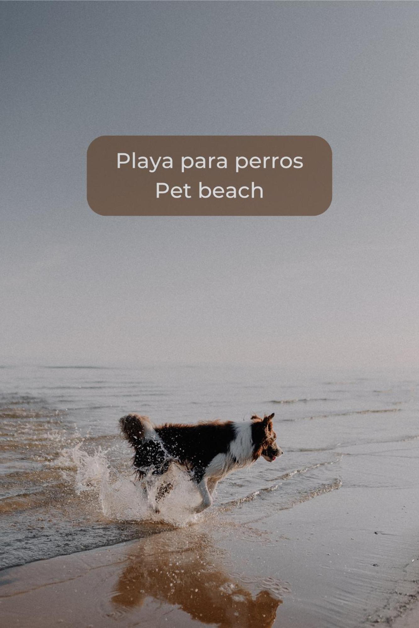 Chocolate Brownie Piscina, Terraza, Planta Baja, Parking Y Wifi Appartement *